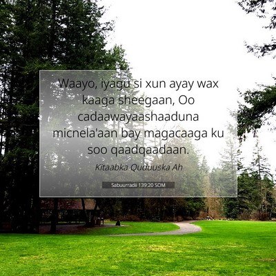 Picture 07 - Sabuurradii 139:20 SOM - Waayo, iyagu si xun ayay wax kaaga sheegaan, Oo - Bible Verse Picture