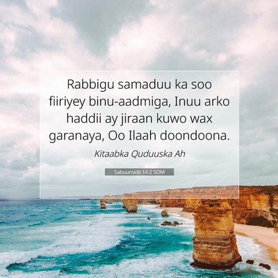 Picture 07 - Sabuurradii 14:2 SOM - Rabbigu samaduu ka soo fiiriyey binu-aadmiga, - Bible Verse Picture