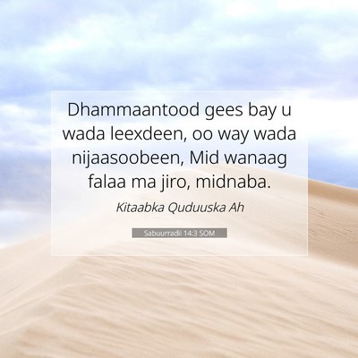 Picture 07 - Sabuurradii 14:3 SOM - Dhammaantood gees bay u wada leexdeen, oo way - Bible Verse Picture