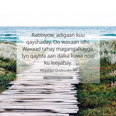 Picture 07 - Sabuurradii 142:5 SOM - Rabbiyow, adigaan kuu qayshaday, Oo waxaan idhi, - Bible Verse Picture