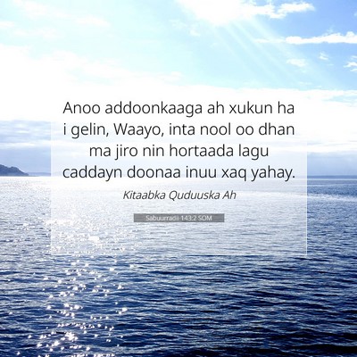 Picture 07 - Sabuurradii 143:2 SOM - Anoo addoonkaaga ah xukun ha i gelin, Waayo, inta - Bible Verse Picture