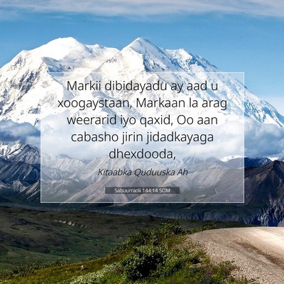 Picture 07 - Sabuurradii 144:14 SOM - Markii dibidayadu ay aad u xoogaystaan, Markaan - Bible Verse Picture