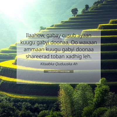Picture 07 - Sabuurradii 144:9 SOM - Ilaahow, gabay cusub ayaan kuugu gabyi doonaa, Oo - Bible Verse Picture