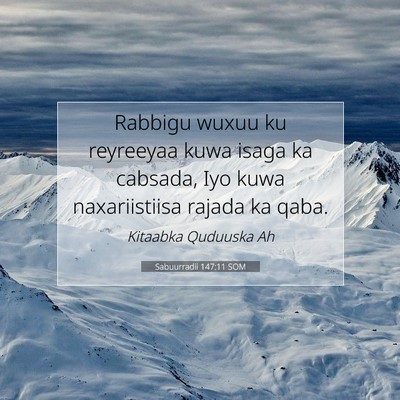 Picture 07 - Sabuurradii 147:11 SOM - Rabbigu wuxuu ku reyreeyaa kuwa isaga ka cabsada, - Bible Verse Picture