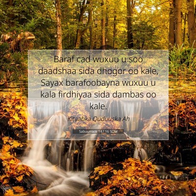 Picture 07 - Sabuurradii 147:16 SOM - Baraf cad wuxuu u soo daadshaa sida dhogor oo - Bible Verse Picture