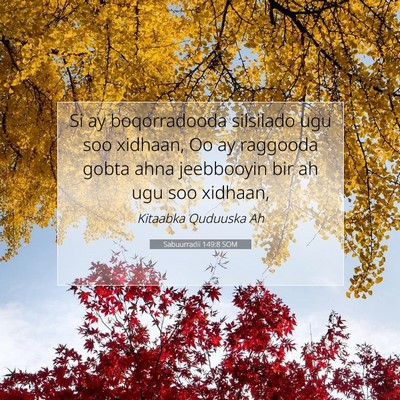 Picture 07 - Sabuurradii 149:8 SOM - Si ay boqorradooda silsilado ugu soo xidhaan, Oo - Bible Verse Picture