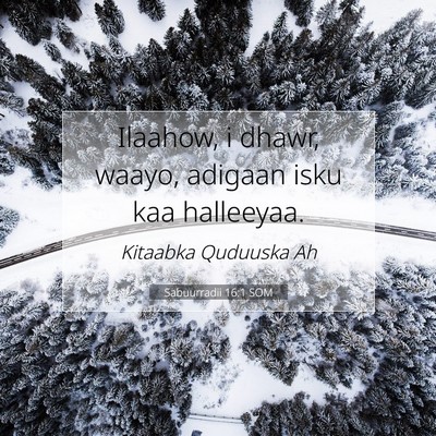 Picture 07 - Sabuurradii 16:1 SOM - Ilaahow, i dhawr, waayo, adigaan isku kaa - Bible Verse Picture