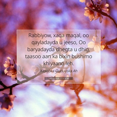 Picture 07 - Sabuurradii 17:1 SOM - Rabbiyow, xaqa maqal, oo qayladayda u jeeso, Oo - Bible Verse Picture