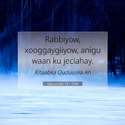 Picture 07 - Sabuurradii 18:1 SOM - Rabbiyow, xooggaygiiyow, anigu waan ku - Bible Verse Picture
