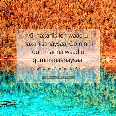 Picture 07 - Sabuurradii 18:25 SOM - Kii naxariis leh waad u naxariisanaysaa, Oo - Bible Verse Picture