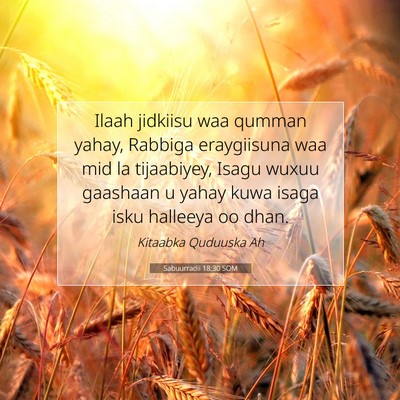 Picture 07 - Sabuurradii 18:30 SOM - Ilaah jidkiisu waa qumman yahay, Rabbiga - Bible Verse Picture