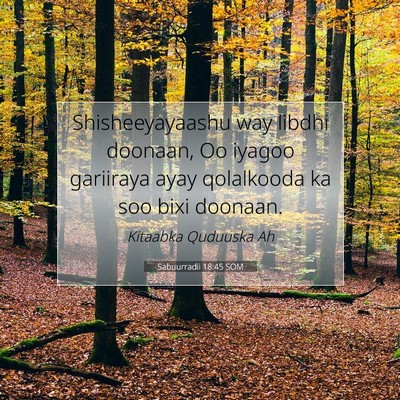 Picture 07 - Sabuurradii 18:45 SOM - Shisheeyayaashu way libdhi doonaan, Oo iyagoo - Bible Verse Picture