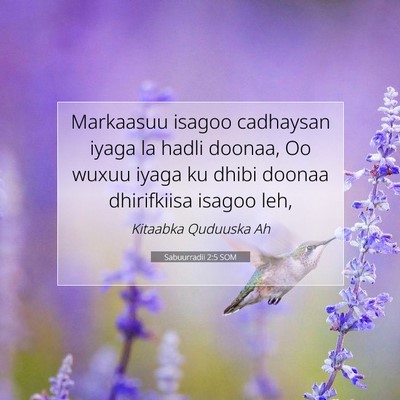 Picture 07 - Sabuurradii 2:5 SOM - Markaasuu isagoo cadhaysan iyaga la hadli doonaa, - Bible Verse Picture