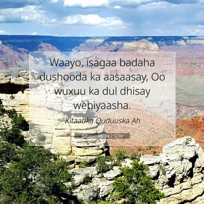 Picture 07 - Sabuurradii 24:2 SOM - Waayo, isagaa badaha dushooda ka aasaasay, Oo - Bible Verse Picture