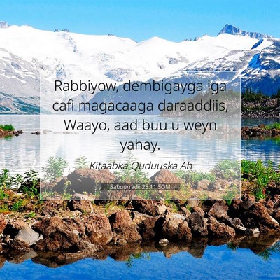 Picture 07 - Sabuurradii 25:11 SOM - Rabbiyow, dembigayga iga cafi magacaaga - Bible Verse Picture