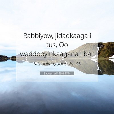 Picture 07 - Sabuurradii 25:4 SOM - Rabbiyow, jidadkaaga i tus, Oo waddooyinkaagana i - Bible Verse Picture