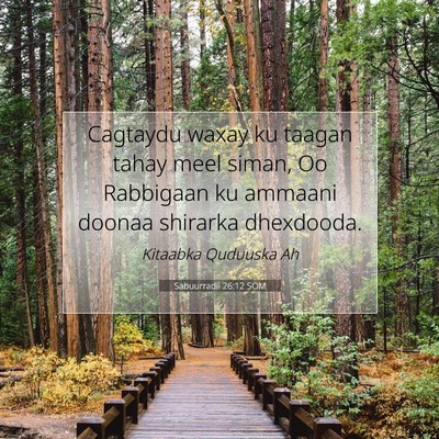 Picture 07 - Sabuurradii 26:12 SOM - Cagtaydu waxay ku taagan tahay meel siman, Oo - Bible Verse Picture