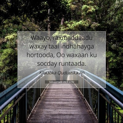 Picture 07 - Sabuurradii 26:3 SOM - Waayo, raxmaddaadu waxay taal indhahayga - Bible Verse Picture
