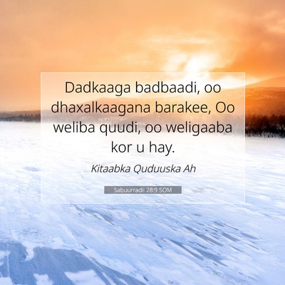 Picture 07 - Sabuurradii 28:9 SOM - Dadkaaga badbaadi, oo dhaxalkaagana barakee, Oo - Bible Verse Picture