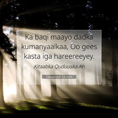 Picture 07 - Sabuurradii 3:6 SOM - Ka baqi maayo dadka kumanyaalkaa, Oo gees kasta - Bible Verse Picture