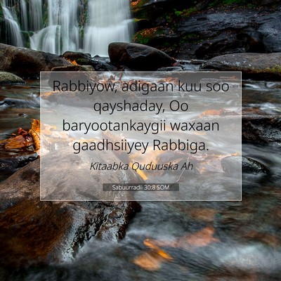 Picture 07 - Sabuurradii 30:8 SOM - Rabbiyow, adigaan kuu soo qayshaday, Oo - Bible Verse Picture
