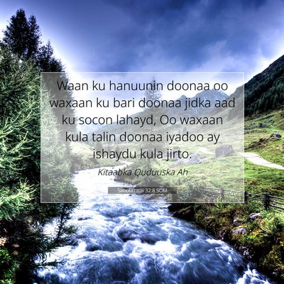 Picture 07 - Sabuurradii 32:8 SOM - Waan ku hanuunin doonaa oo waxaan ku bari doonaa - Bible Verse Picture