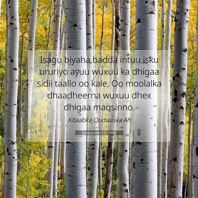 Picture 07 - Sabuurradii 33:7 SOM - Isagu biyaha badda intuu isku ururiyo ayuu wuxuu - Bible Verse Picture