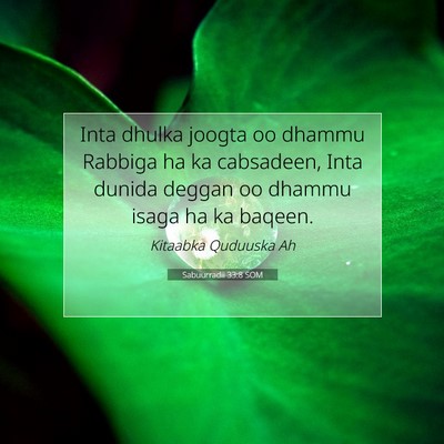 Picture 07 - Sabuurradii 33:8 SOM - Inta dhulka joogta oo dhammu Rabbiga ha ka - Bible Verse Picture