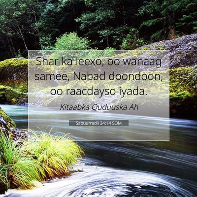 Picture 07 - Sabuurradii 34:14 SOM - Shar ka leexo, oo wanaag samee, Nabad doondoon, - Bible Verse Picture