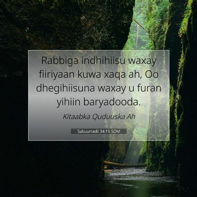 Picture 07 - Sabuurradii 34:15 SOM - Rabbiga indhihiisu waxay fiiriyaan kuwa xaqa ah, - Bible Verse Picture