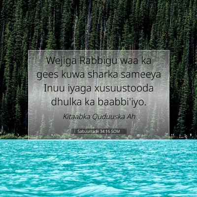 Picture 07 - Sabuurradii 34:16 SOM - Wejiga Rabbigu waa ka gees kuwa sharka sameeya - Bible Verse Picture
