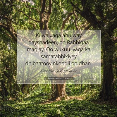 Picture 07 - Sabuurradii 34:17 SOM - Kuwa xaqa ahu way qayshadeen, oo Rabbigaa maqlay, - Bible Verse Picture