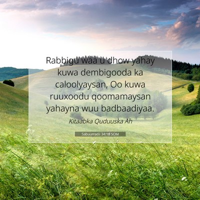 Picture 07 - Sabuurradii 34:18 SOM - Rabbigu waa u dhow yahay kuwa dembigooda ka - Bible Verse Picture