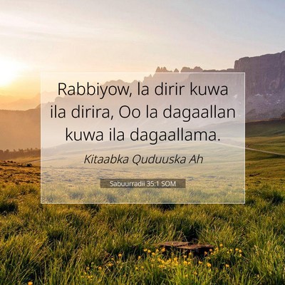 Picture 07 - Sabuurradii 35:1 SOM - Rabbiyow, la dirir kuwa ila dirira, Oo la - Bible Verse Picture