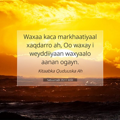 Picture 07 - Sabuurradii 35:11 SOM - Waxaa kaca markhaatiyaal xaqdarro ah, Oo waxay i - Bible Verse Picture