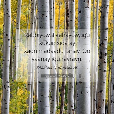 Picture 07 - Sabuurradii 35:24 SOM - Rabbiyow, Ilaahayow, igu xukun sida ay - Bible Verse Picture