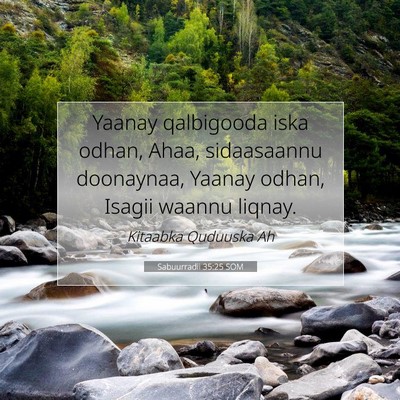 Picture 07 - Sabuurradii 35:25 SOM - Yaanay qalbigooda iska odhan, Ahaa, sidaasaannu - Bible Verse Picture