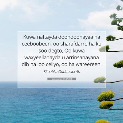 Picture 07 - Sabuurradii 35:4 SOM - Kuwa naftayda doondoonayaa ha ceeboobeen, oo - Bible Verse Picture
