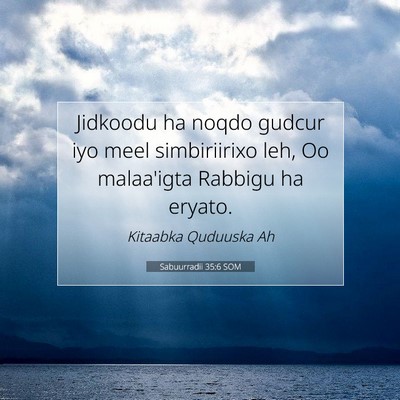 Picture 07 - Sabuurradii 35:6 SOM - Jidkoodu ha noqdo gudcur iyo meel simbiriirixo - Bible Verse Picture