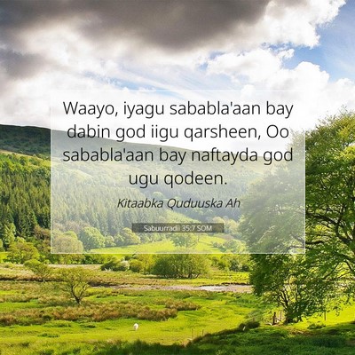 Picture 07 - Sabuurradii 35:7 SOM - Waayo, iyagu sababla'aan bay dabin god iigu - Bible Verse Picture