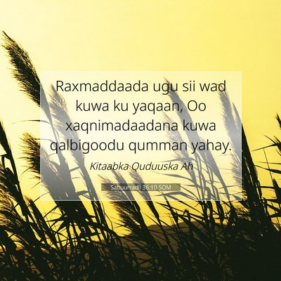 Picture 07 - Sabuurradii 36:10 SOM - Raxmaddaada ugu sii wad kuwa ku yaqaan, Oo - Bible Verse Picture