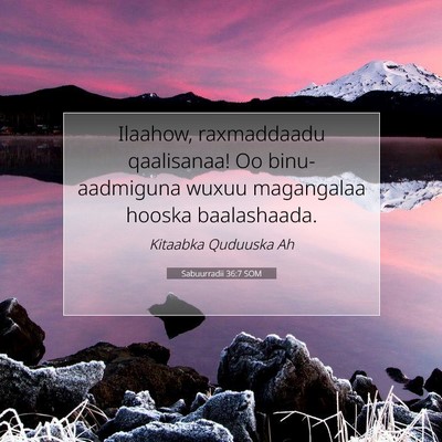 Picture 07 - Sabuurradii 36:7 SOM - Ilaahow, raxmaddaadu qaalisanaa! Oo - Bible Verse Picture