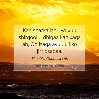 Picture 07 - Sabuurradii 37:12 SOM - Kan sharka lahu wuxuu shirqool u dhigaa kan xaqa - Bible Verse Picture