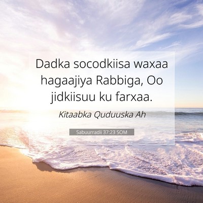 Picture 07 - Sabuurradii 37:23 SOM - Dadka socodkiisa waxaa hagaajiya Rabbiga, Oo - Bible Verse Picture