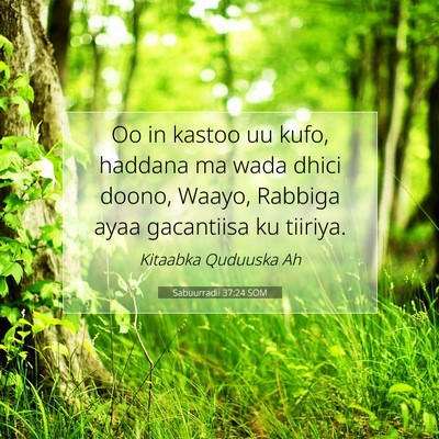 Picture 07 - Sabuurradii 37:24 SOM - Oo in kastoo uu kufo, haddana ma wada dhici - Bible Verse Picture
