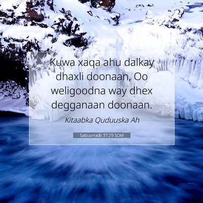 Picture 07 - Sabuurradii 37:29 SOM - Kuwa xaqa ahu dalkay dhaxli doonaan, Oo - Bible Verse Picture