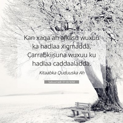 Picture 07 - Sabuurradii 37:30 SOM - Kan xaqa ah afkiisu wuxuu ka hadlaa xigmadda, - Bible Verse Picture