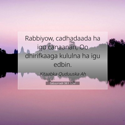 Picture 07 - Sabuurradii 38:1 SOM - Rabbiyow, cadhadaada ha igu canaanan, Oo - Bible Verse Picture