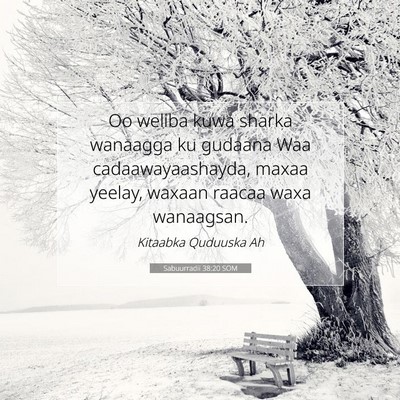 Picture 07 - Sabuurradii 38:20 SOM - Oo weliba kuwa sharka wanaagga ku gudaana Waa - Bible Verse Picture