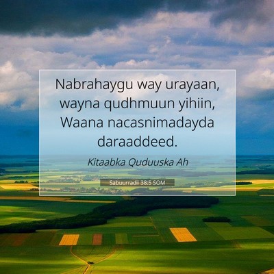 Picture 07 - Sabuurradii 38:5 SOM - Nabrahaygu way urayaan, wayna qudhmuun yihiin, - Bible Verse Picture